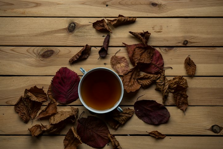 Fasting Tea Benefits: How Matcha Enhances Your Fast